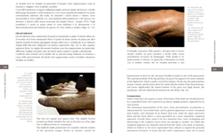 Alcune pagine in formato digitale del nuovo e-book sul restauro del Crocifisso ligneo