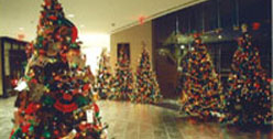 Festival dell'albero di Natale