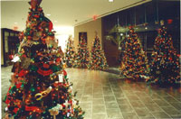 Festival dell'albero di Natale